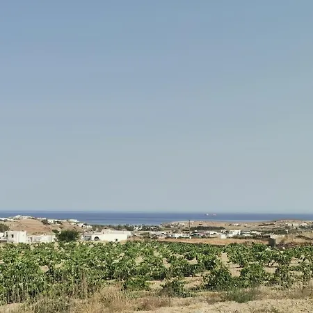 Vineyard House Paraspori (Paros)