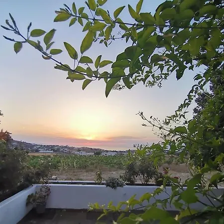Vineyard House Holiday home